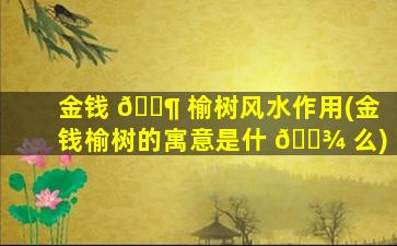 金钱 🐶 榆树风水作用(金钱榆树的寓意是什 🌾 么)